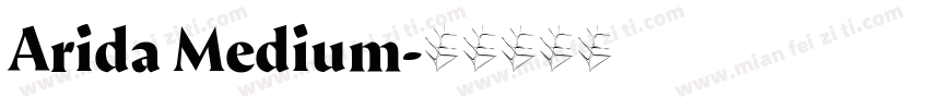 Arida Medium字体转换